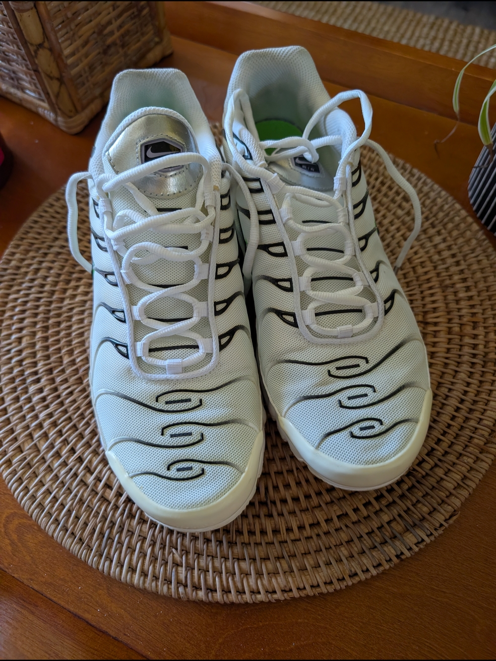 Nike White Vapor TN